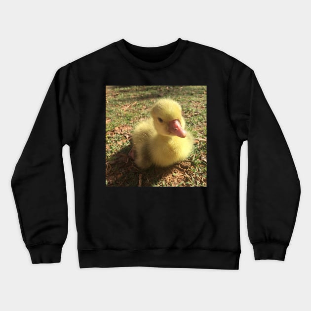 Gosling in the Grass Crewneck Sweatshirt by LochNestFarm